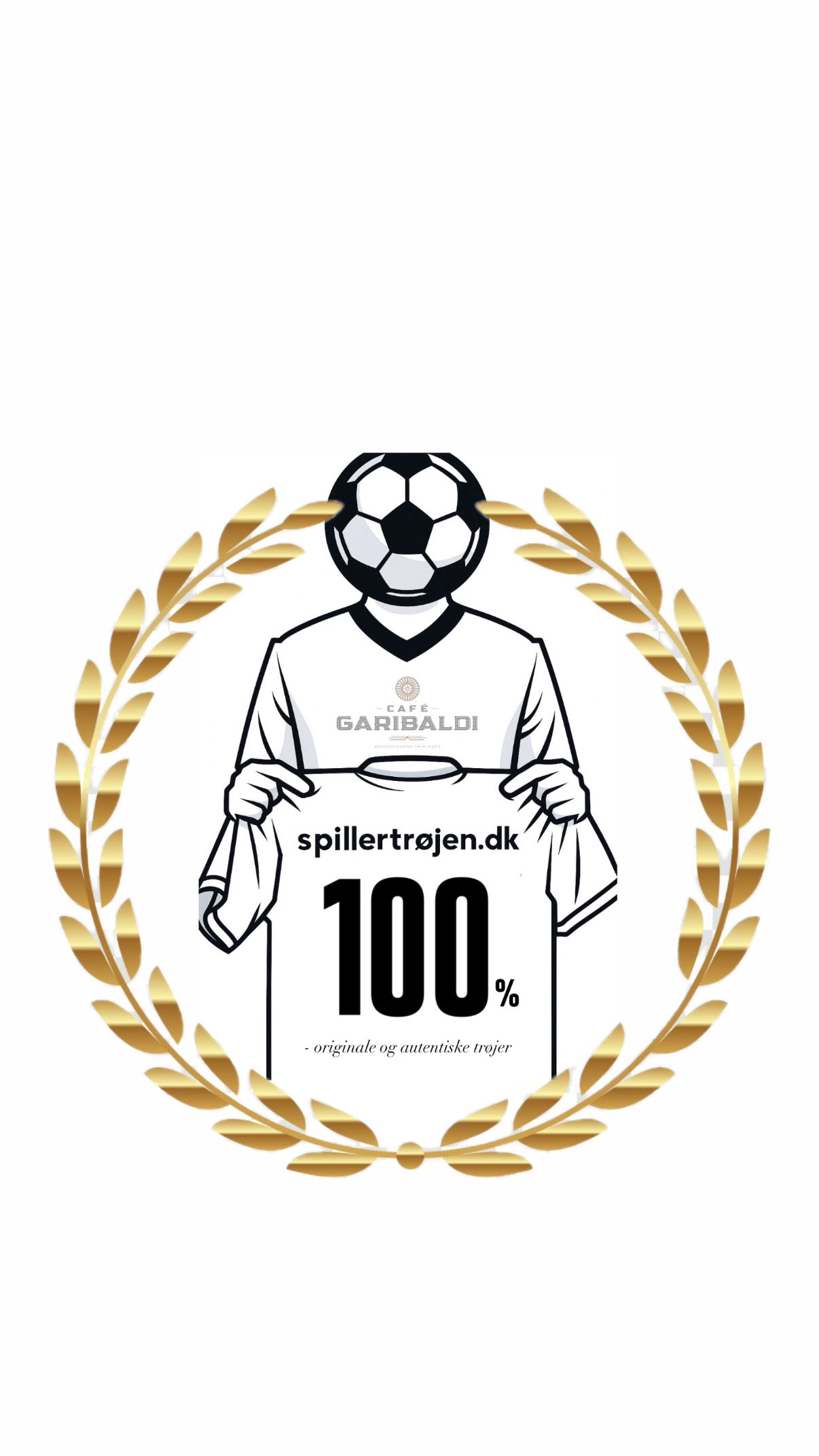 Player12.dk logo